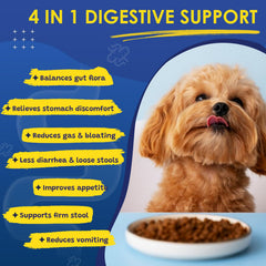 SHINEPAWS Probiotiques pour chien – huile de saumon et Omega-3 pour le bien-être