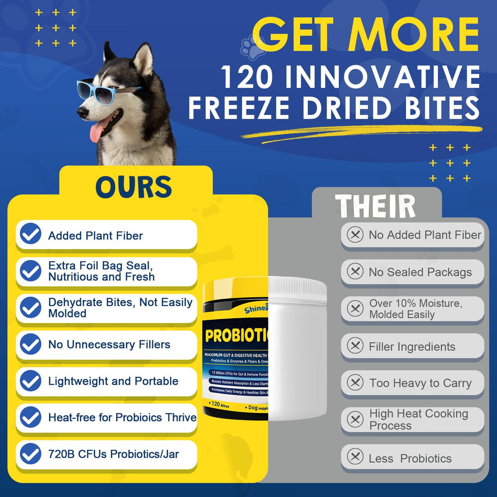 SHINEPAWS Probiotiques pour chien – peau et pelage plus sains grâce aux oméga et vitamines