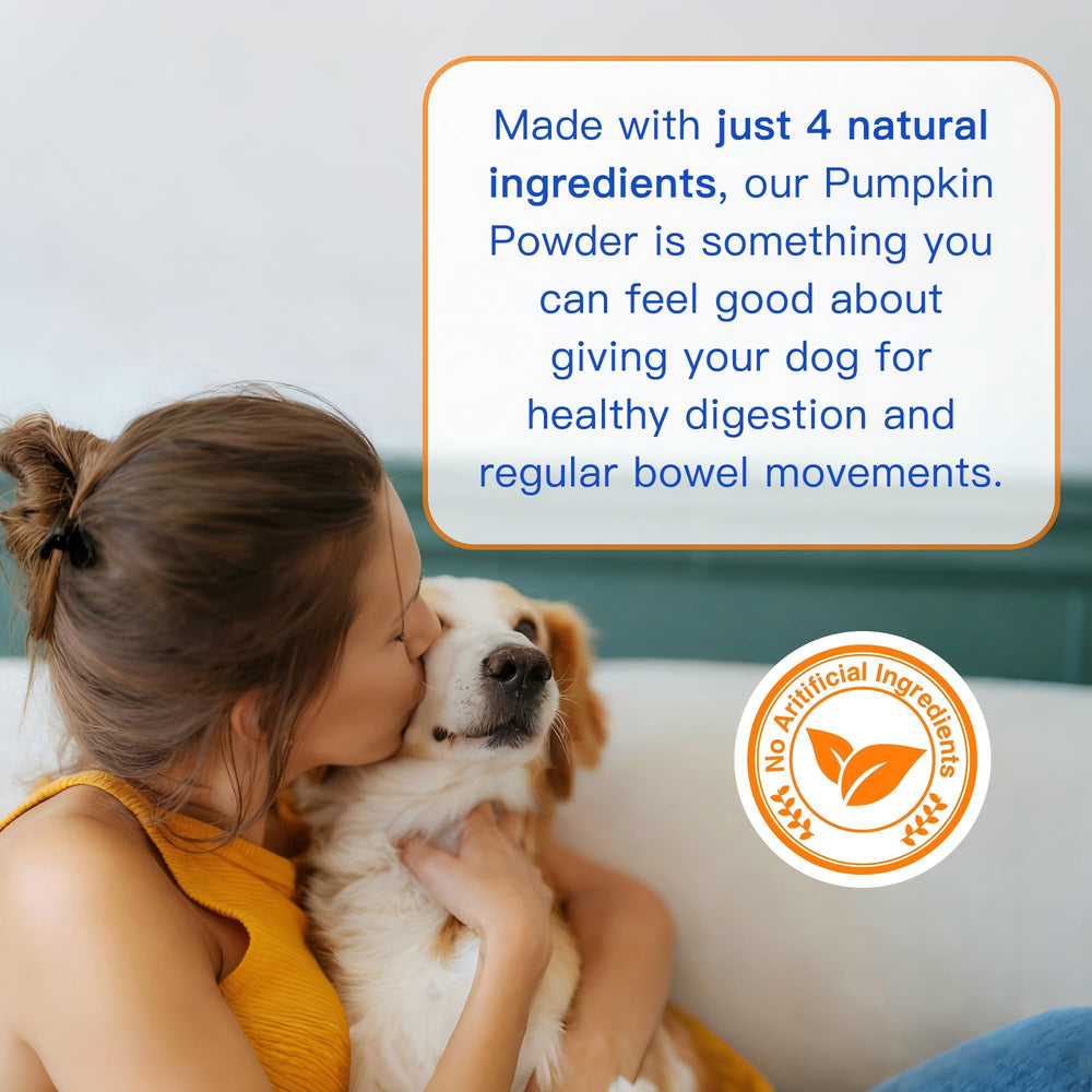SHINEPAWS seau de 60 portions pour l’alimentation quotidienne.