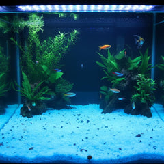 Shiny Stone Glow gravier bleu ciel pour aquarium nocturne.