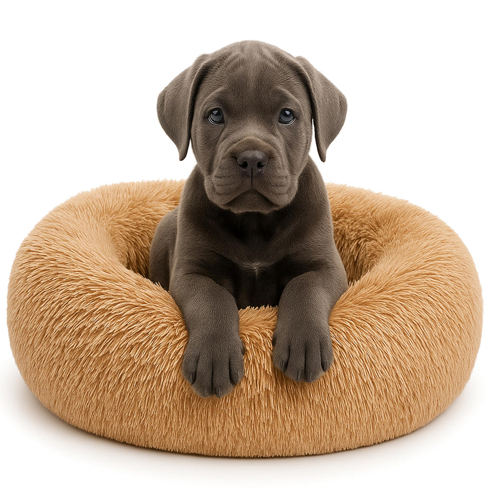 SHINY-V lit apaisant en forme de donut, douceur enveloppante pour chien.