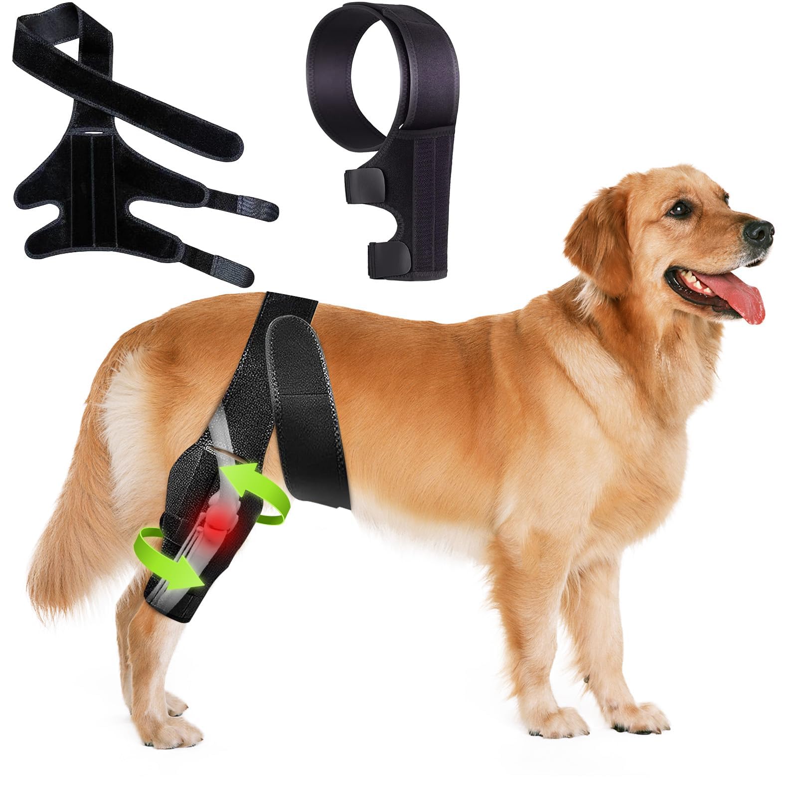 SHIUMORE genou-chien ACL CCL avec stabilisateurs latéraux pour mobilité sécurisée.