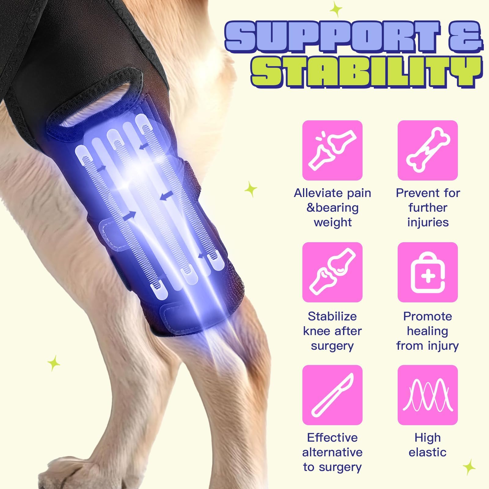 Néoprène respirant SHIUMORE offrant confort quotidien au chien.