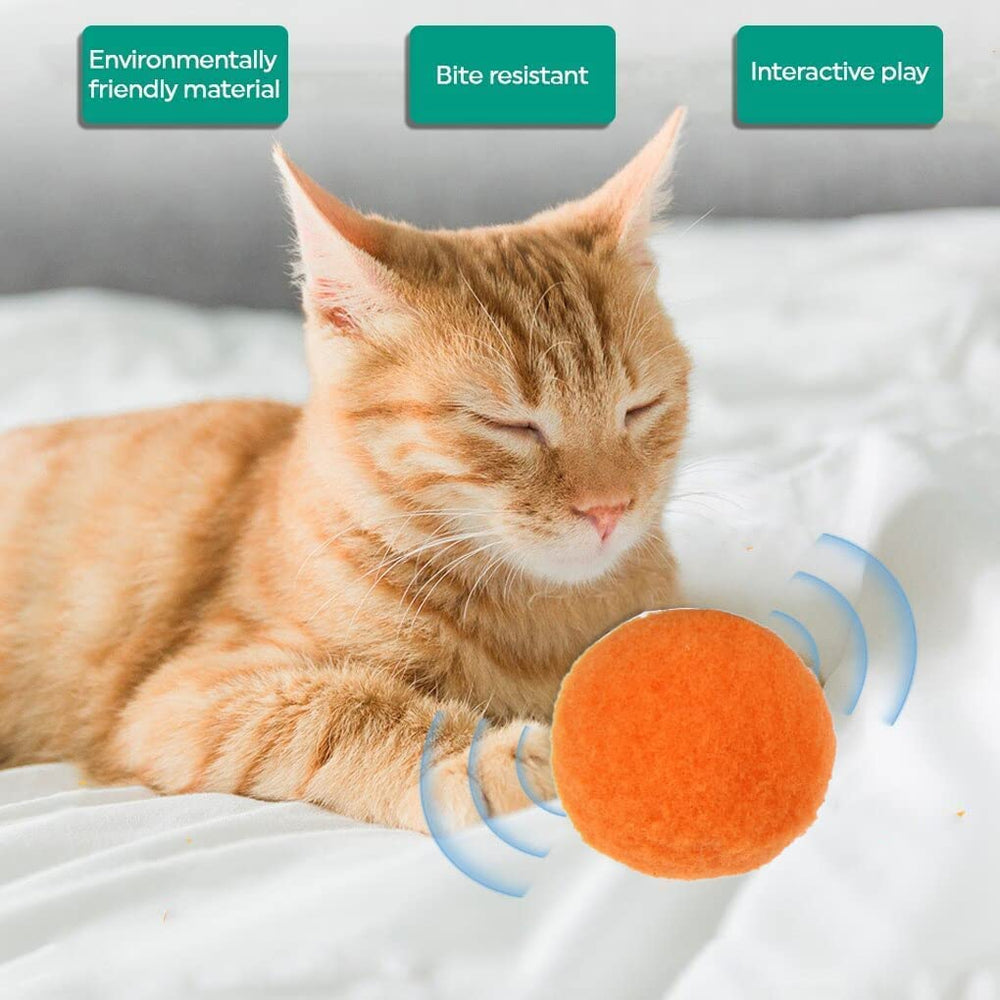 Balles pompon Shizhoo, compagnon de jeu quotidien pour chaton.
