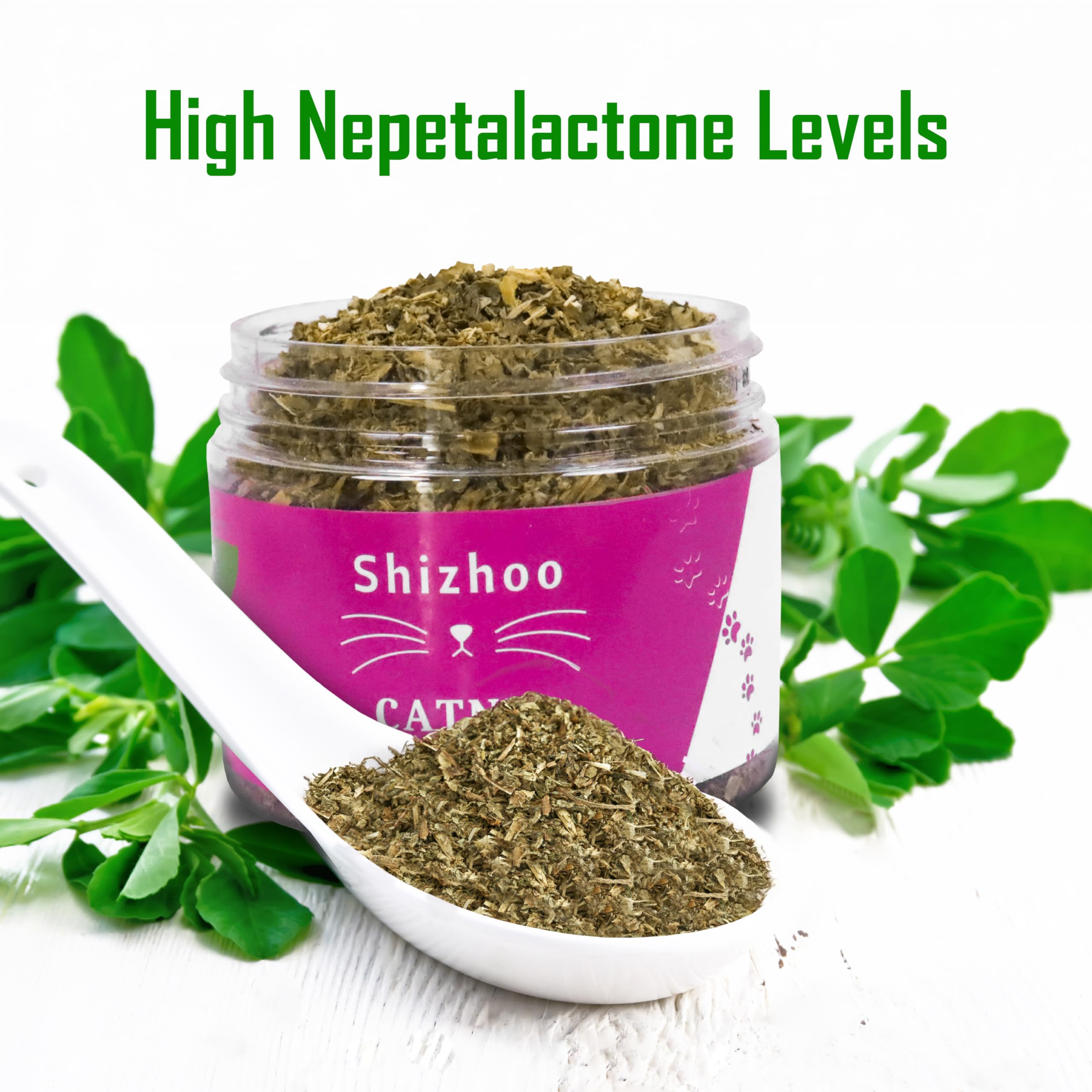 Shizhoo Catnip arôme irrésistible libéré pour stimuler le jeu.
