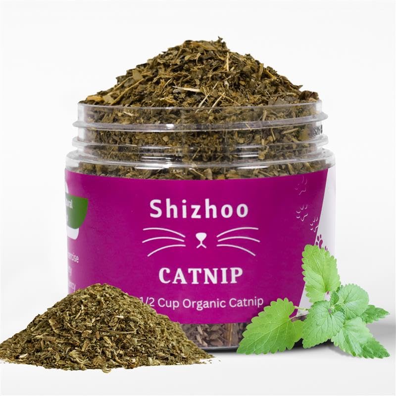 Shizhoo Catnip feuilles et fleurs organiques pour une expérience naturelle et sûre.