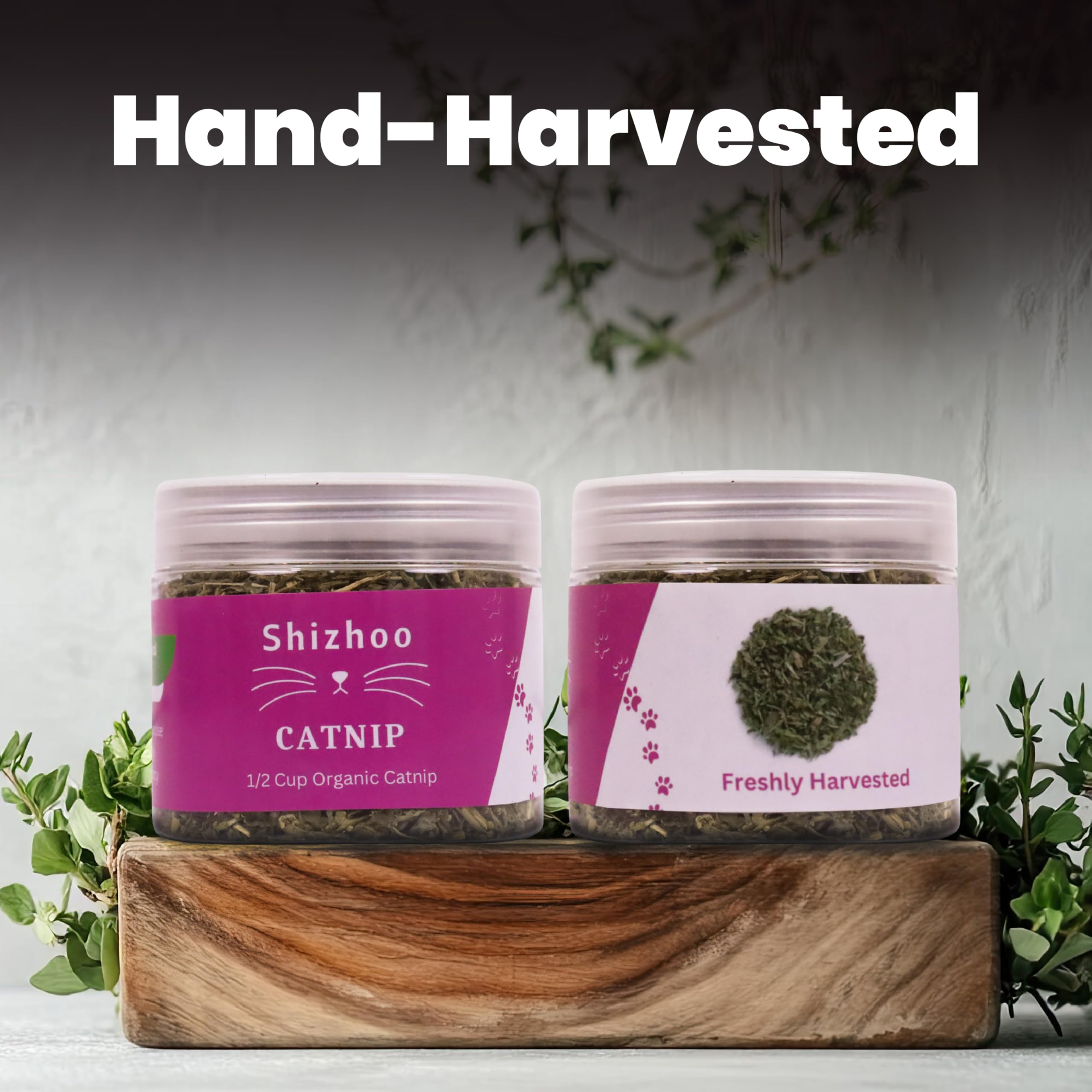 Shizhoo Catnip graines et feuilles pour réapprovisionnement simple et naturel.