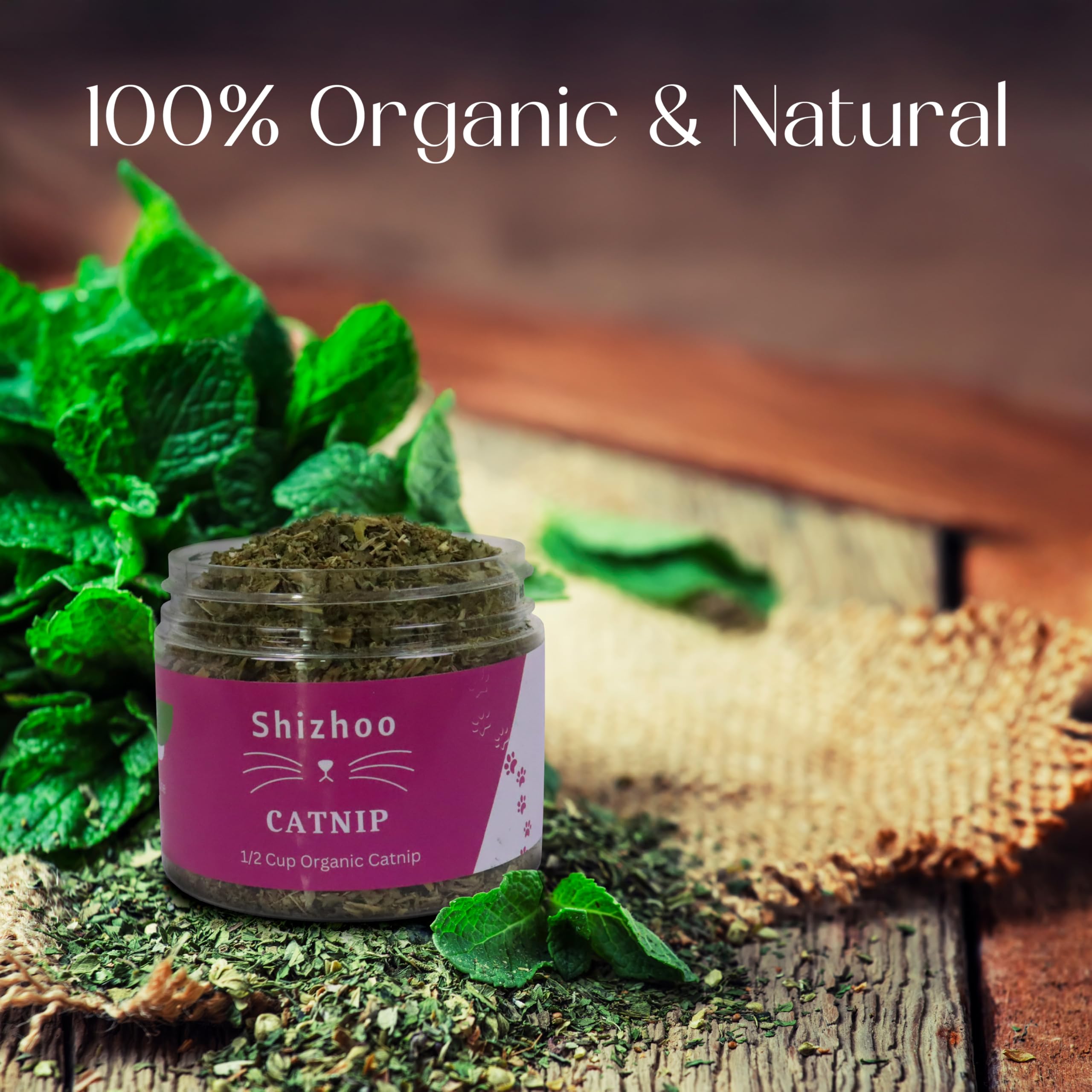 Shizhoo Catnip jouet remplissable pour prolonger les sessions de jeu.