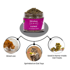 Shizhoo Catnip libération aromatique qui incite à explorer et jouer.