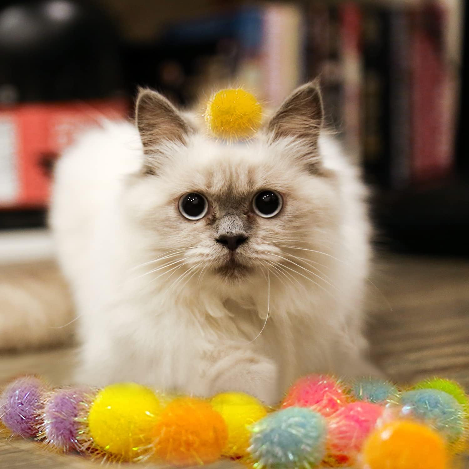 Shizhoo pom-pom lumineux: décoration festive et divertissement pour jeux nocturnes.