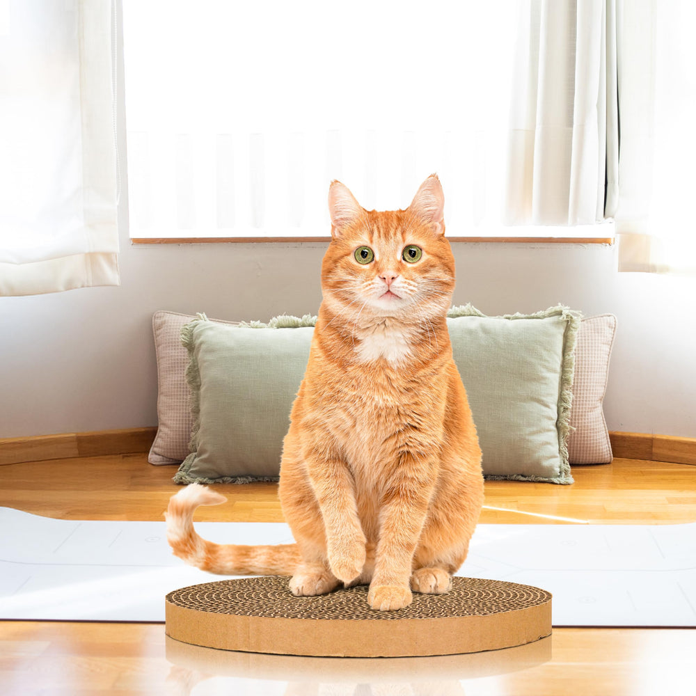 Shizhoo tapis remplacement chat durable, soutien du comportement actif.