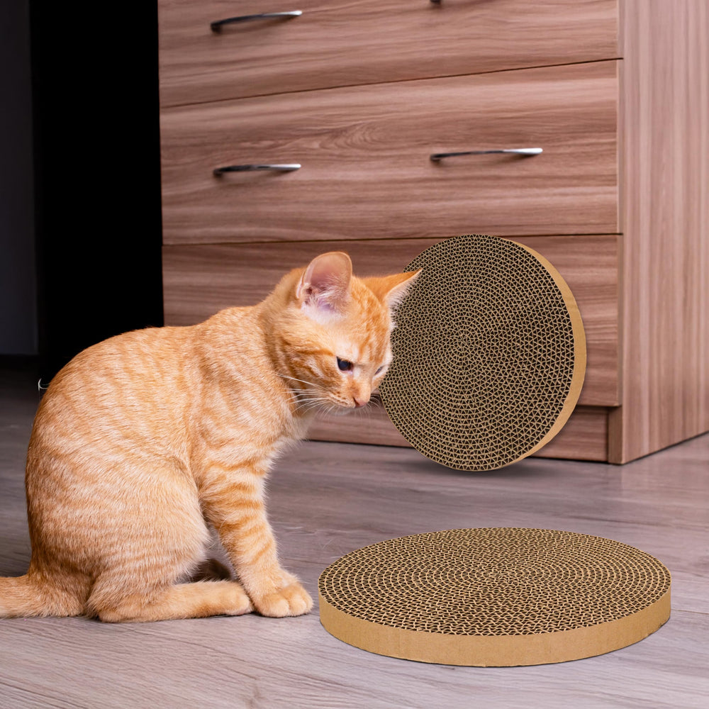 Shizhoo s’intègre au quotidien pour une surface durable et réutilisable.