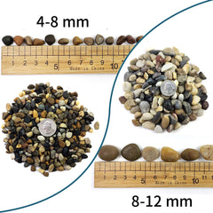 SHIZWU petites pierres de rivière 4-8 mm pour remplissage de vase.