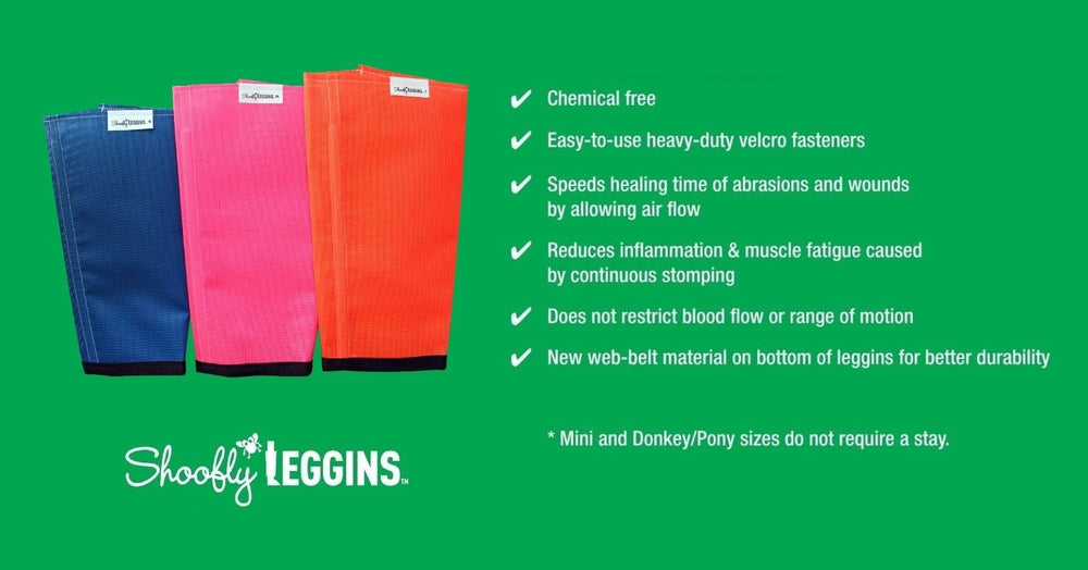 SHOOFLY Leggins brevetés US6508205B1, design unique pour équine