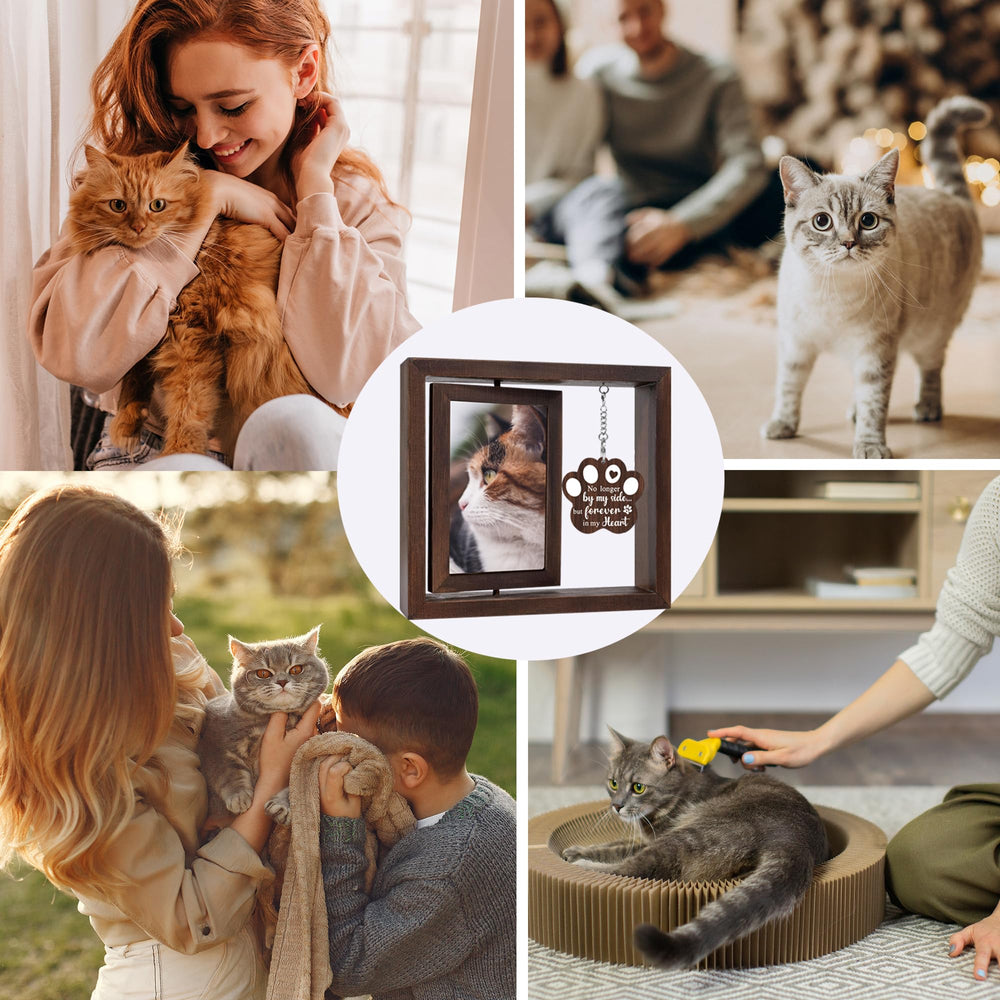 SHOW-YA Carte message incluse, écrivez un mot doux au chat.