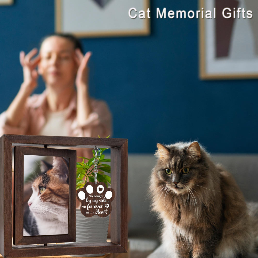 SHOW-YA Inscriptions gravées inspirantes pour cadre mémoire chat.