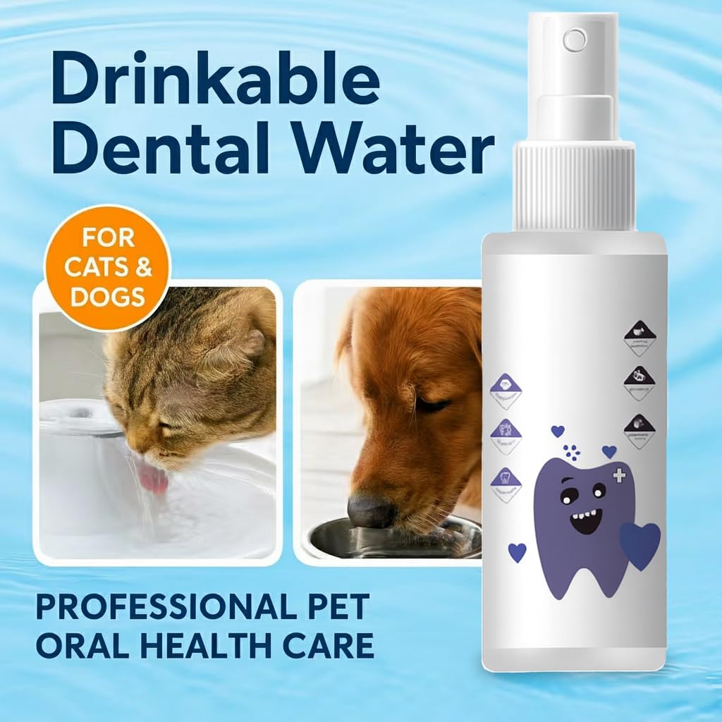 Shrandi PawBright — animal boit naturellement; propreté buccale continue.