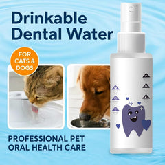 Shrandi PawBright — animal boit naturellement; propreté buccale continue.