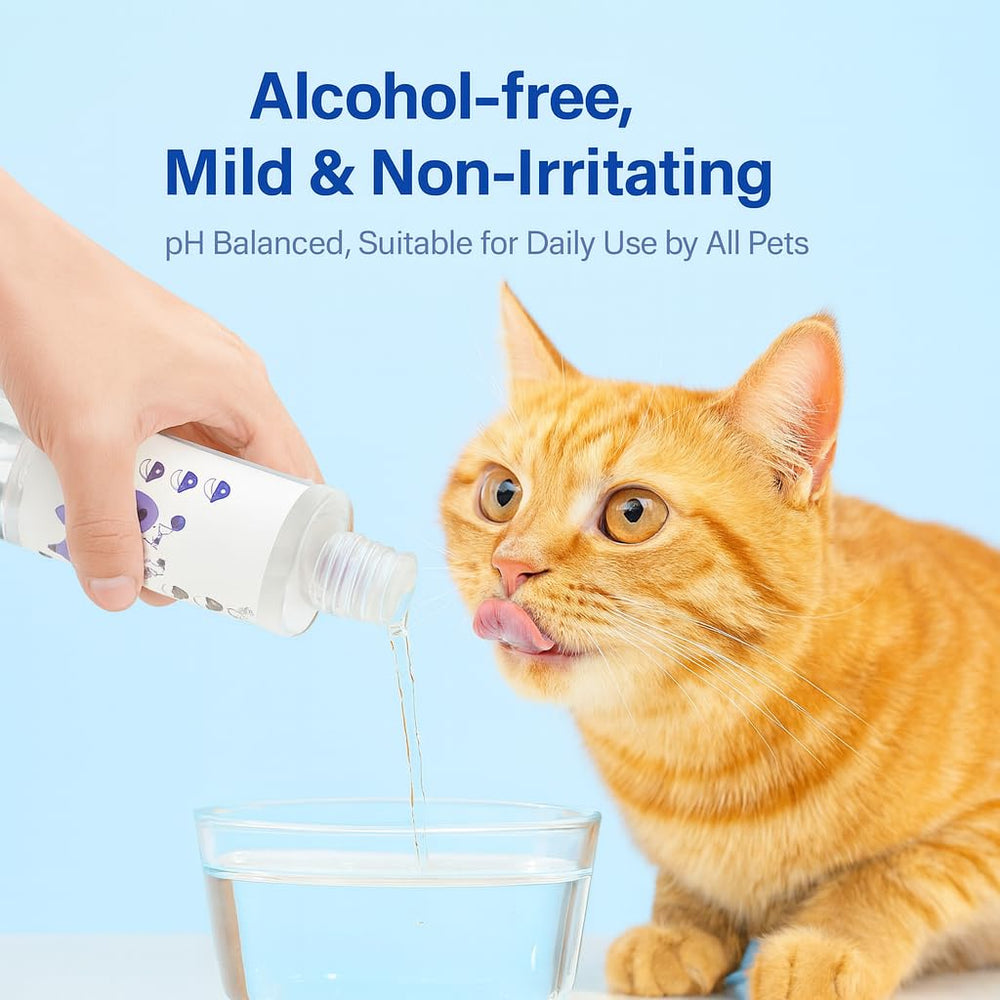 Shrandi PawBright propose des ingrédients naturels pour une routine quotidienne plus douce.