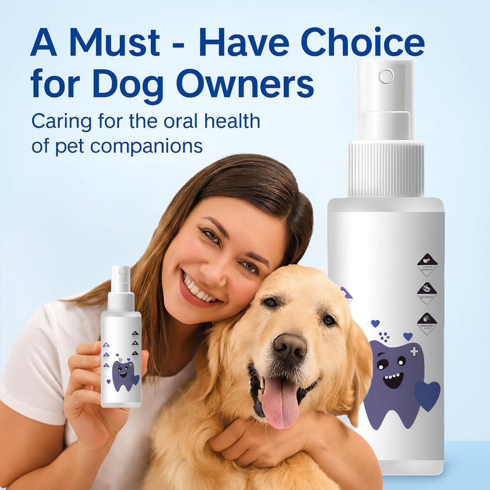 Ajout PawBright dans le bol d’eau pour chiens et chats.