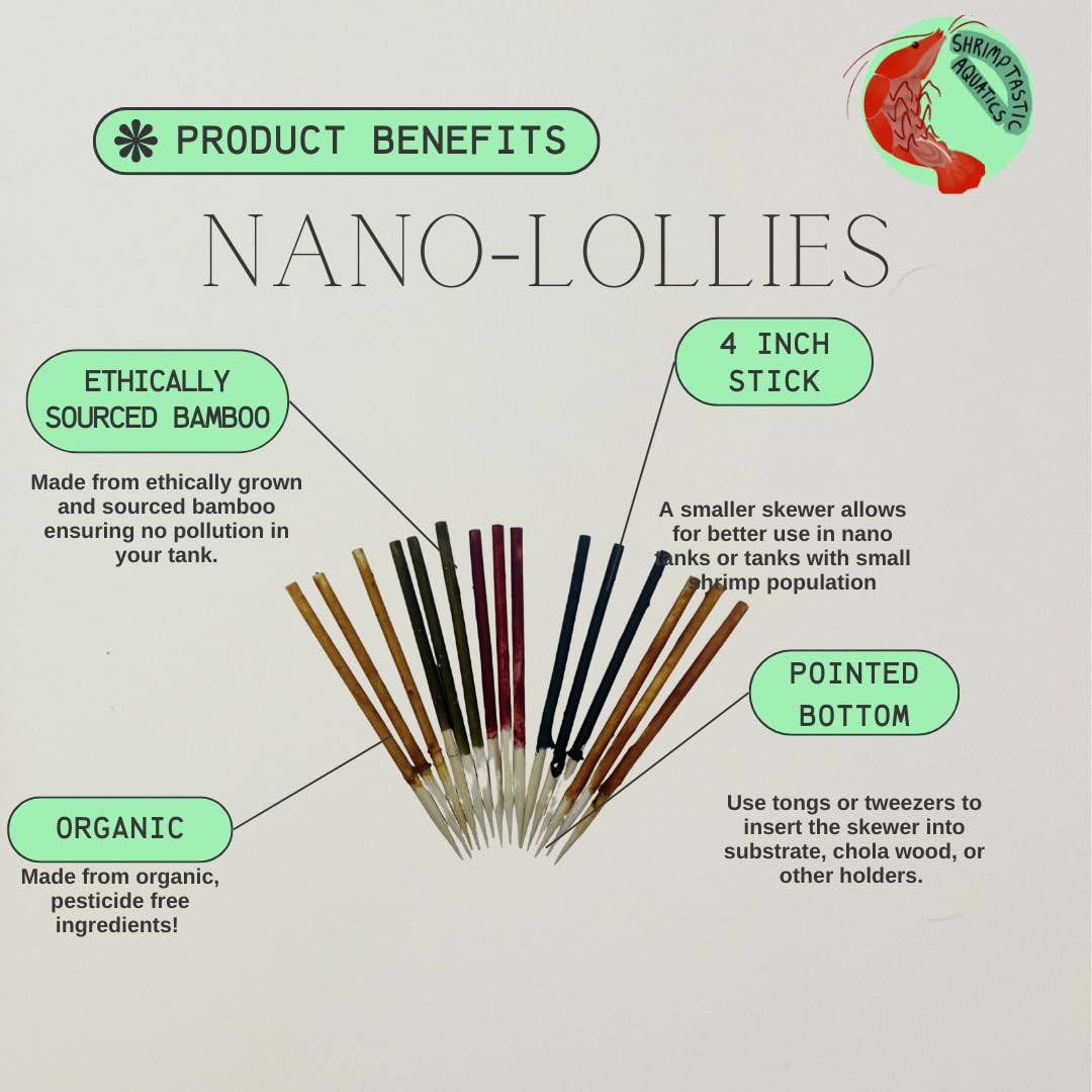 Shrimptastic Aquatics Sucette Nano pour crevettes cerises, nutrition naturelle et facile.