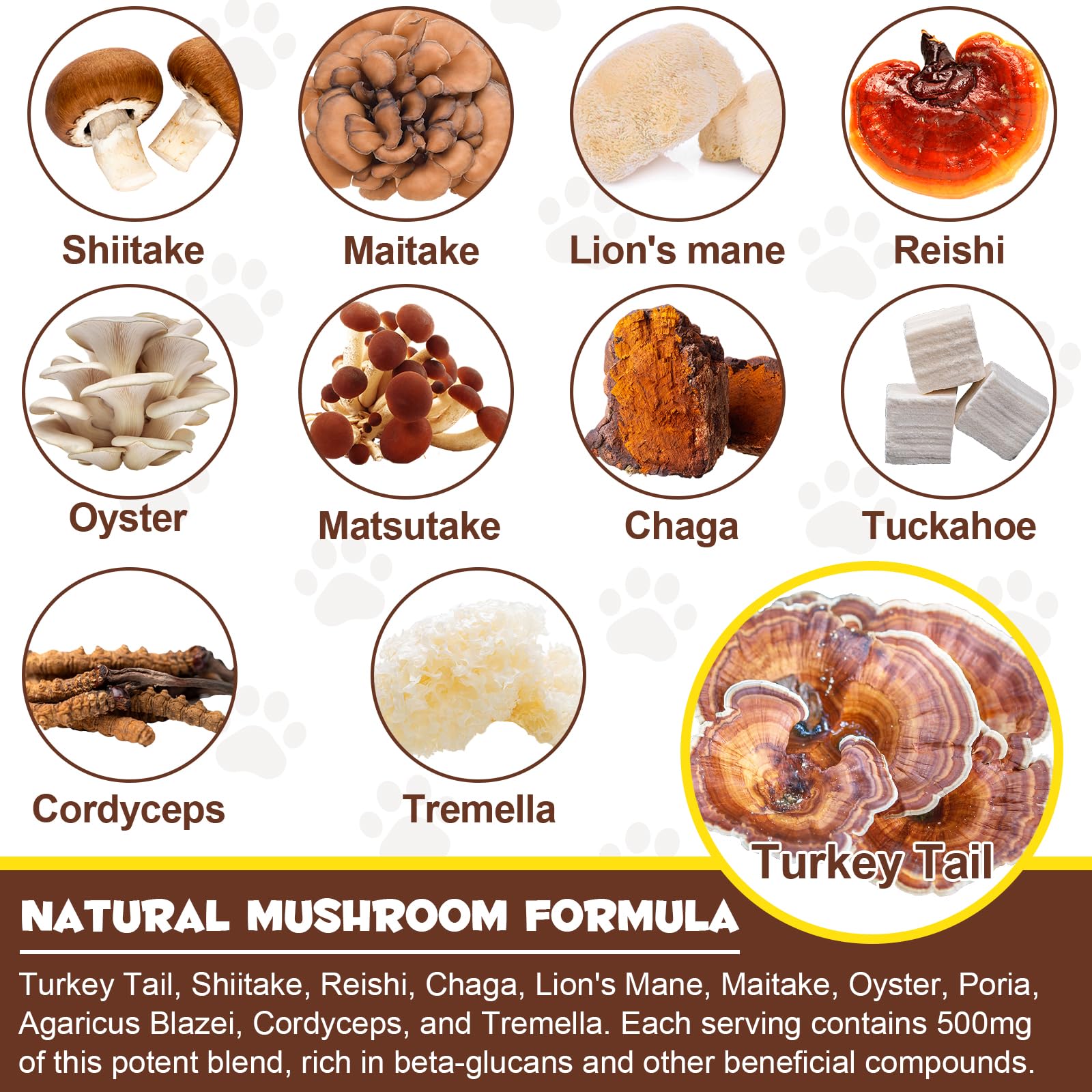 Shuangjia Complexe 11 champignons - mélange premium pour le soutien du système immunitaire.