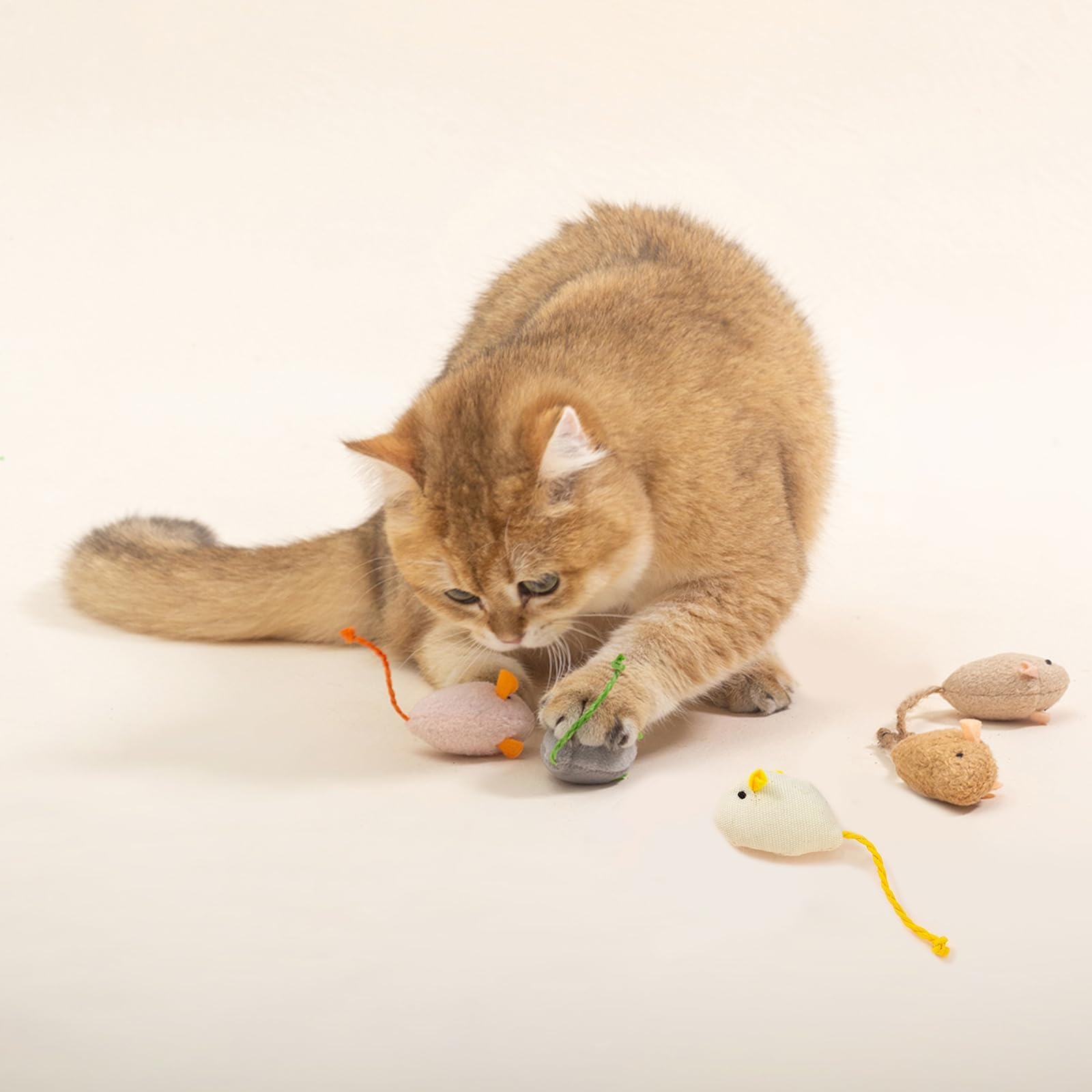 Ensemble de 10 jouets Shudyear, variété et stimulation pour chats d intérieur