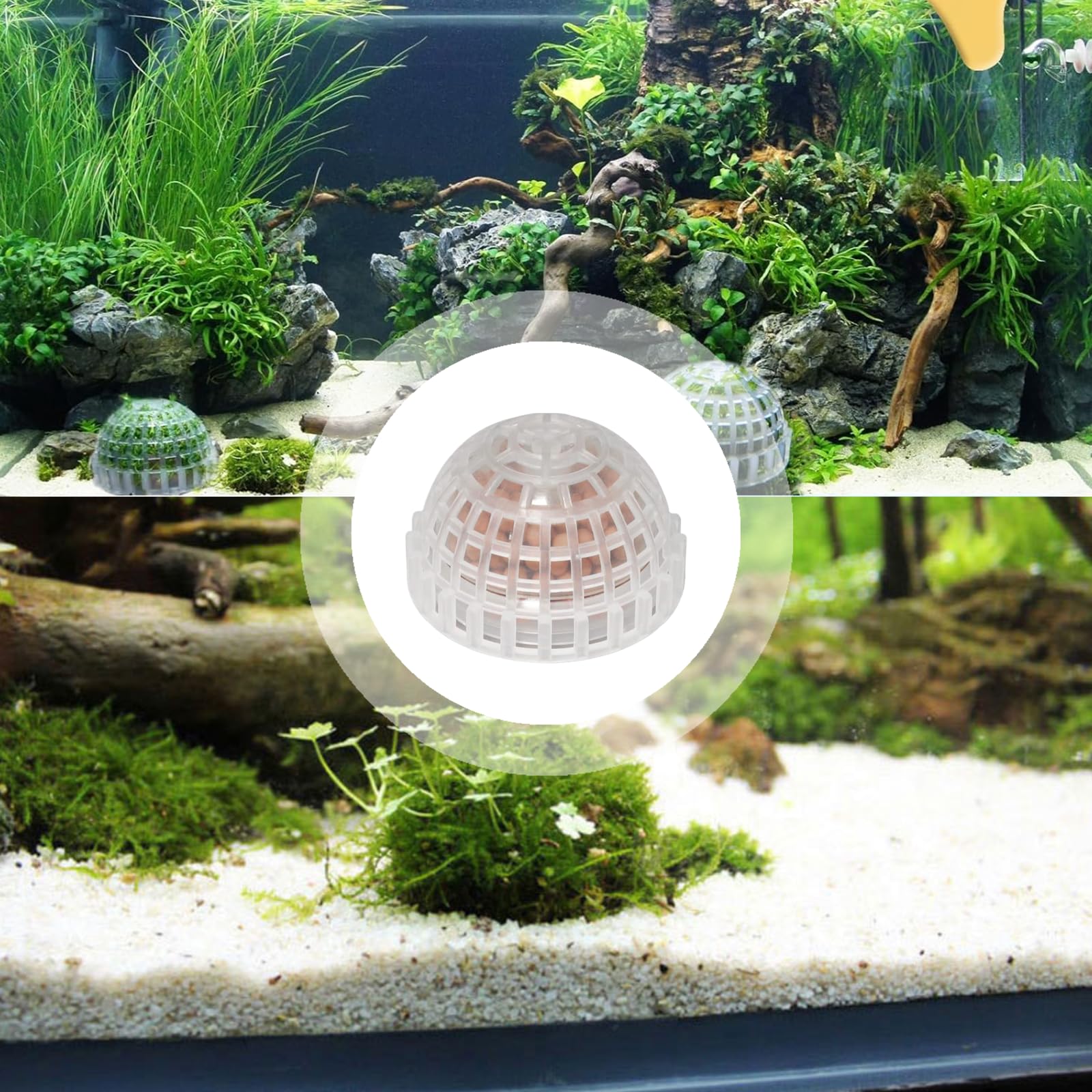 SHUNGXINYI ecosysteme-aquarium-mousse, base pour un habitat vivant