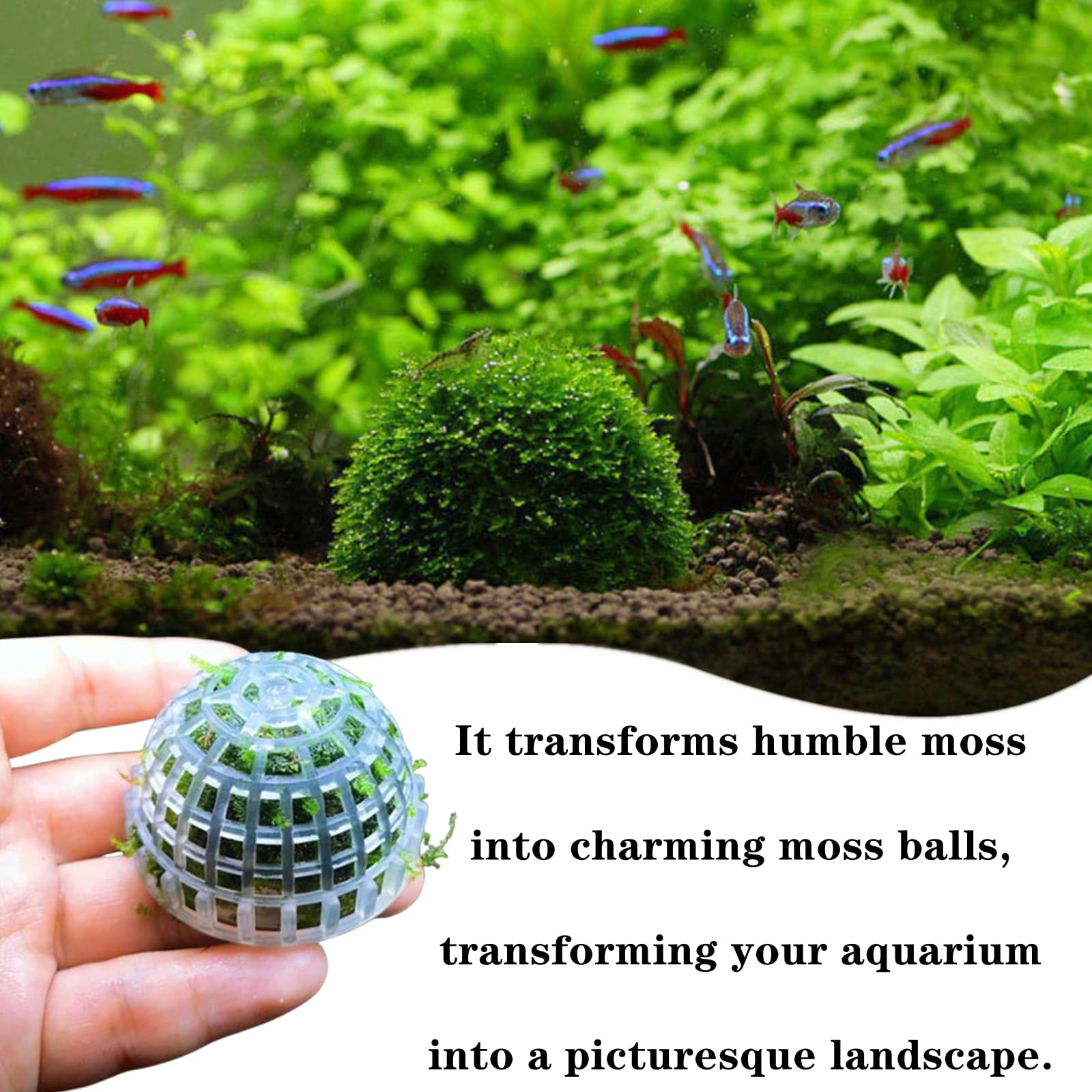 SHUNGXINYI installation-simple-aquarium, montage et démontage faciles