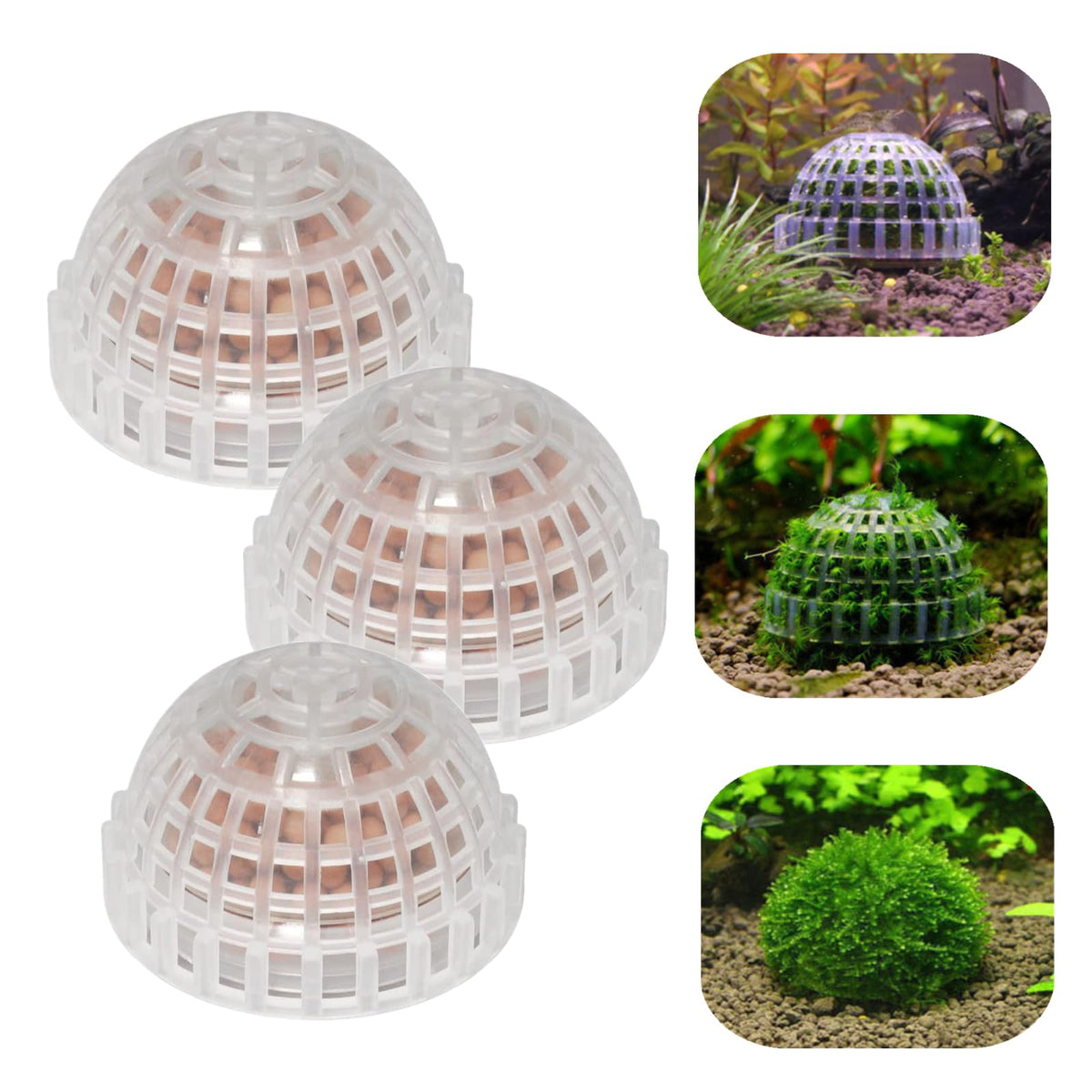 SHUNGXINYI porte-boules mousse-aquarium, support durable pour mousses et plantes aquatiques