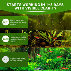 SHUNNIUB Aquarium nano-plantes, bac clair et équilibré.