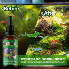 SHUNNIUB No Planaria Hydra Trap — distribution homogène dans le bac pour eau plus claire