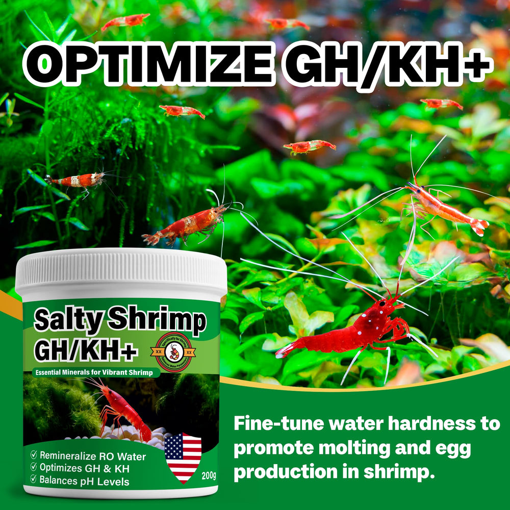 SHUNNIUB Salty Shrimp améliore l'eau claire pour une observation nette des crevettes.