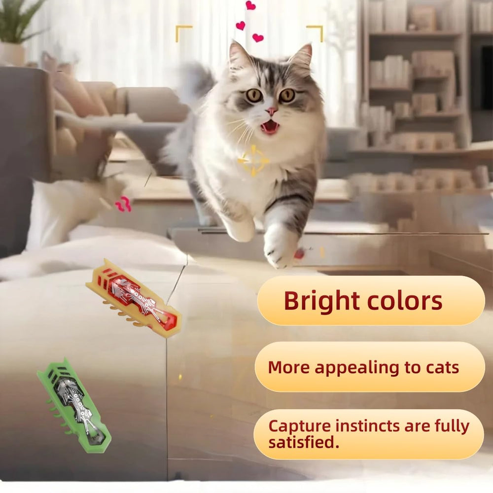 SHXMWINSY bête interactive orange en mouvement – divertissement et exercice pour chat