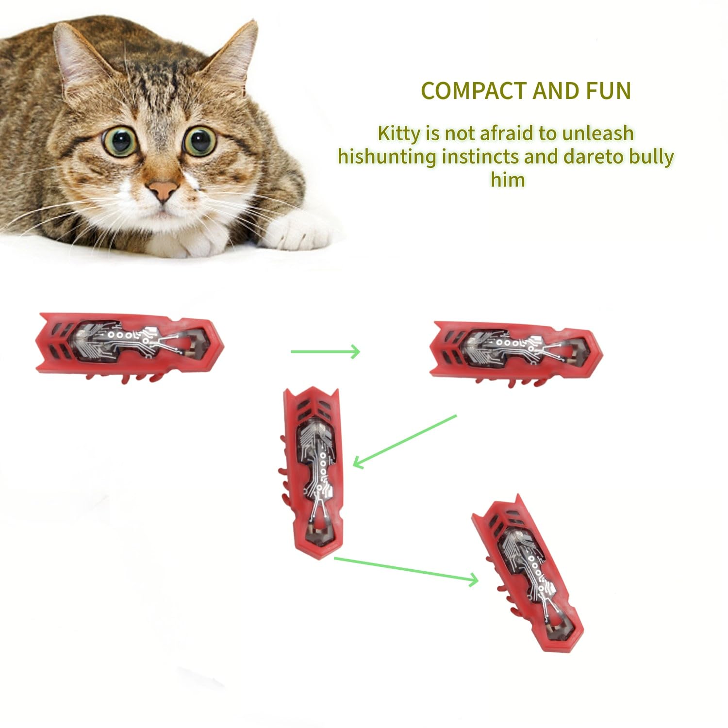 SHXMWINSY jouet interactif – idéal pour chaton et chat adulte