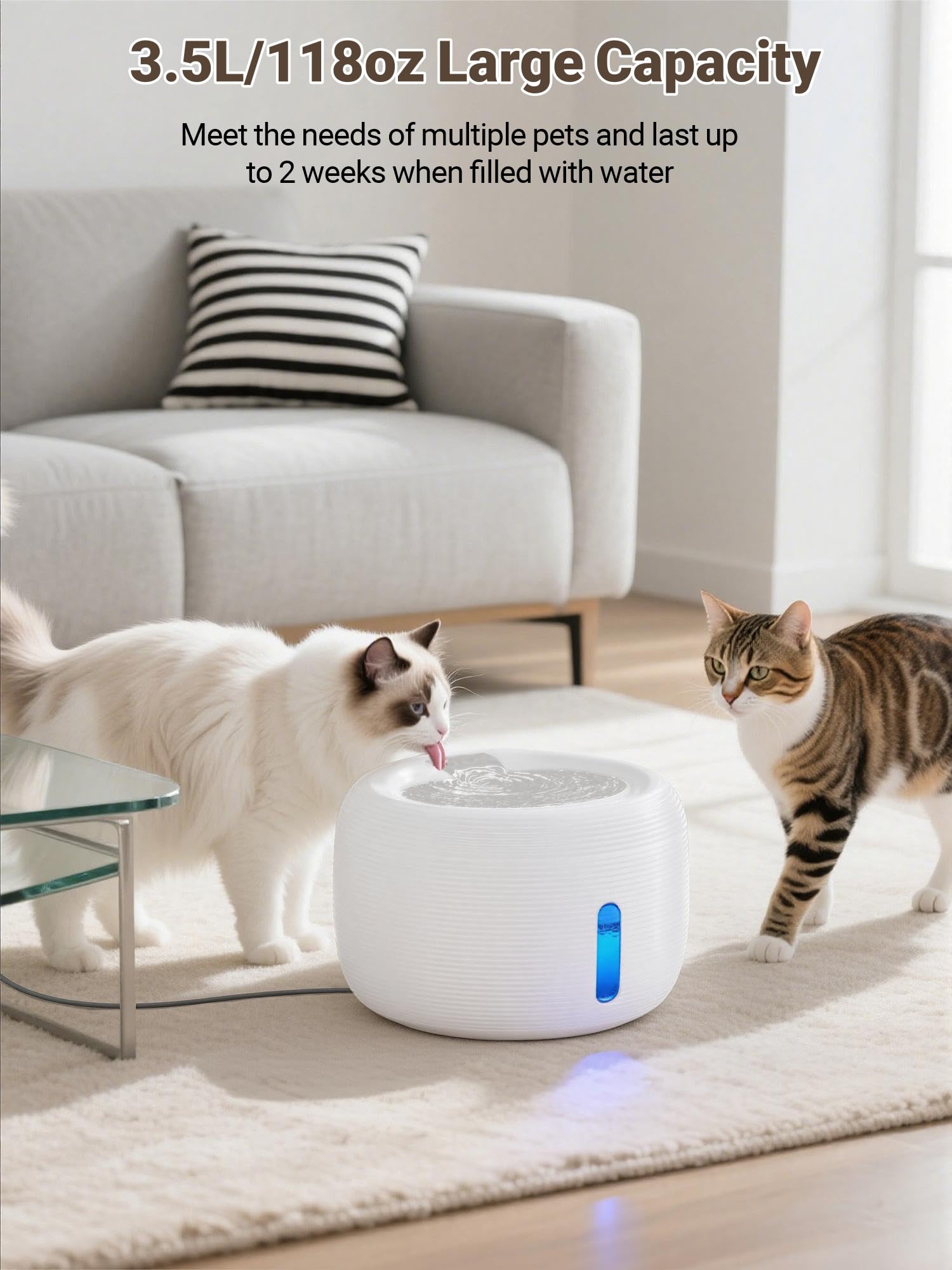 SIBAYS filtre-5-couches: eau plus propre pour votre animal.