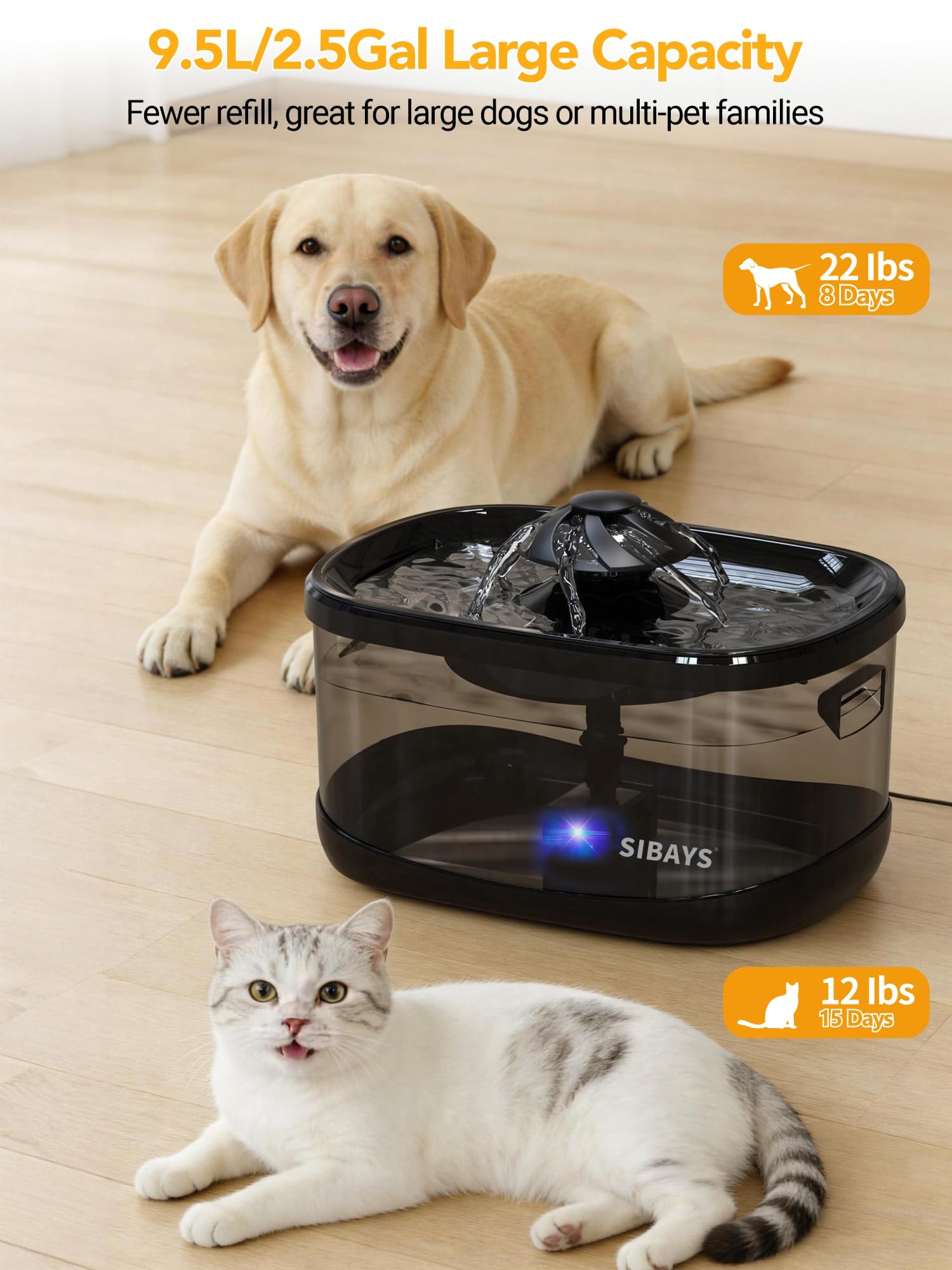 Filtration en 4 couches de la fontaine SIBAYS pour une eau plus propre.