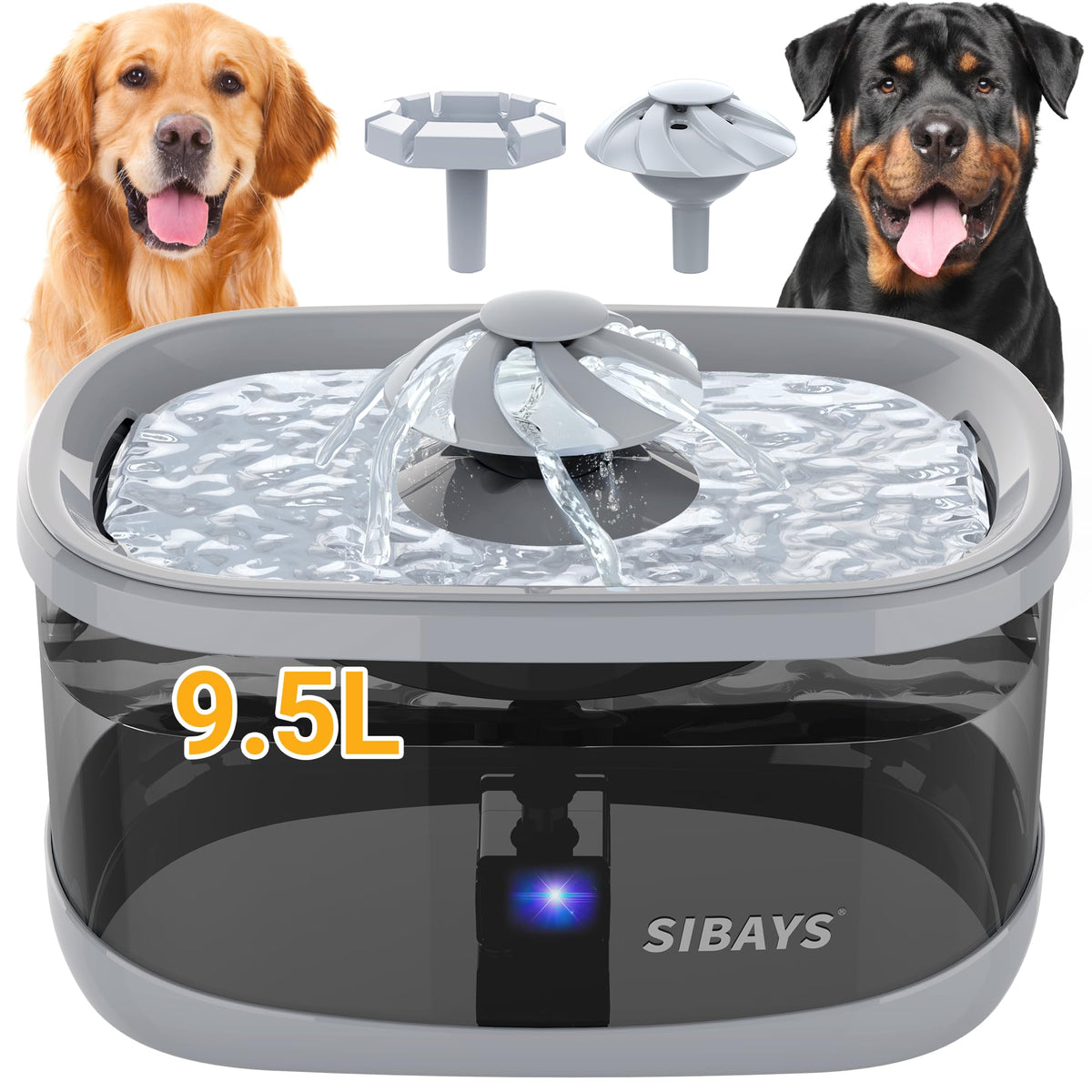 SIBAYS fontaine-chien 9,5L, grande capacité pour chiens et multiples animaux