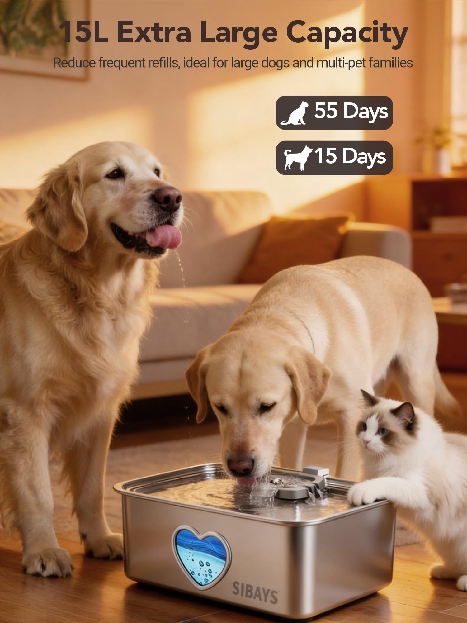 Matériau acier inox 304 de la fontaine SIBAYS pour une eau saine et durable.