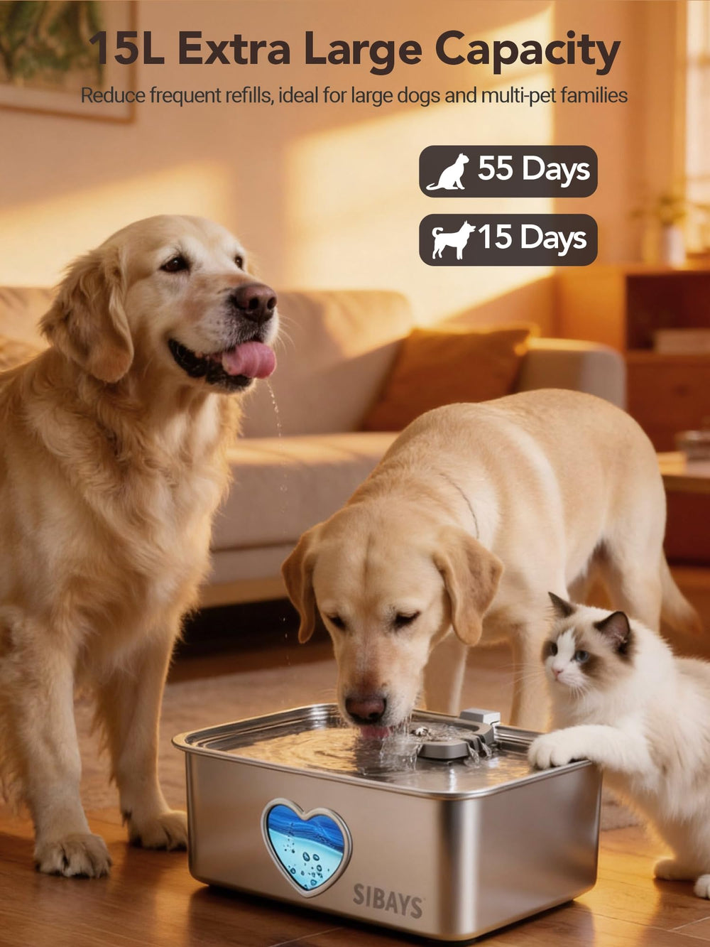 Matériau acier inox 304 de la fontaine SIBAYS pour une eau saine et durable.