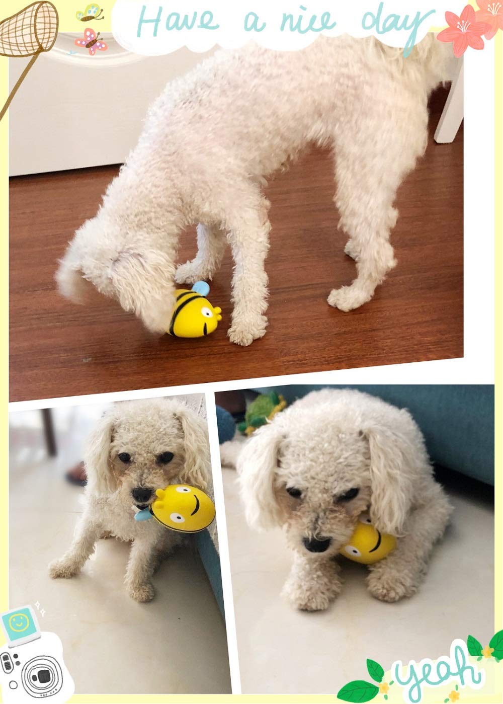 Renforce le lien avec votre chien grâce à CloverU Banana interactif.