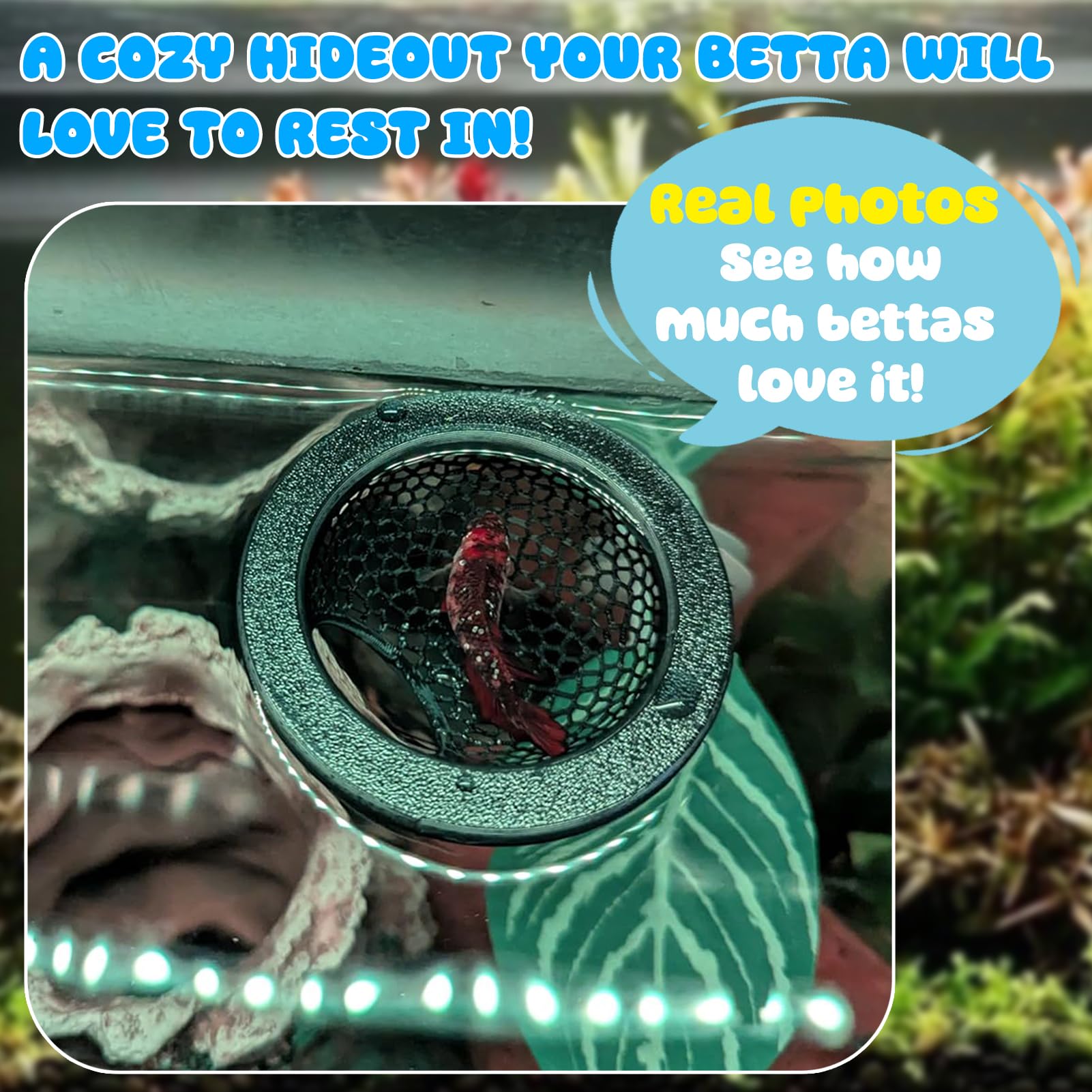 sicutoz accessoire-aquarium-compact – accessoire compact idéal pour les petits bacs.