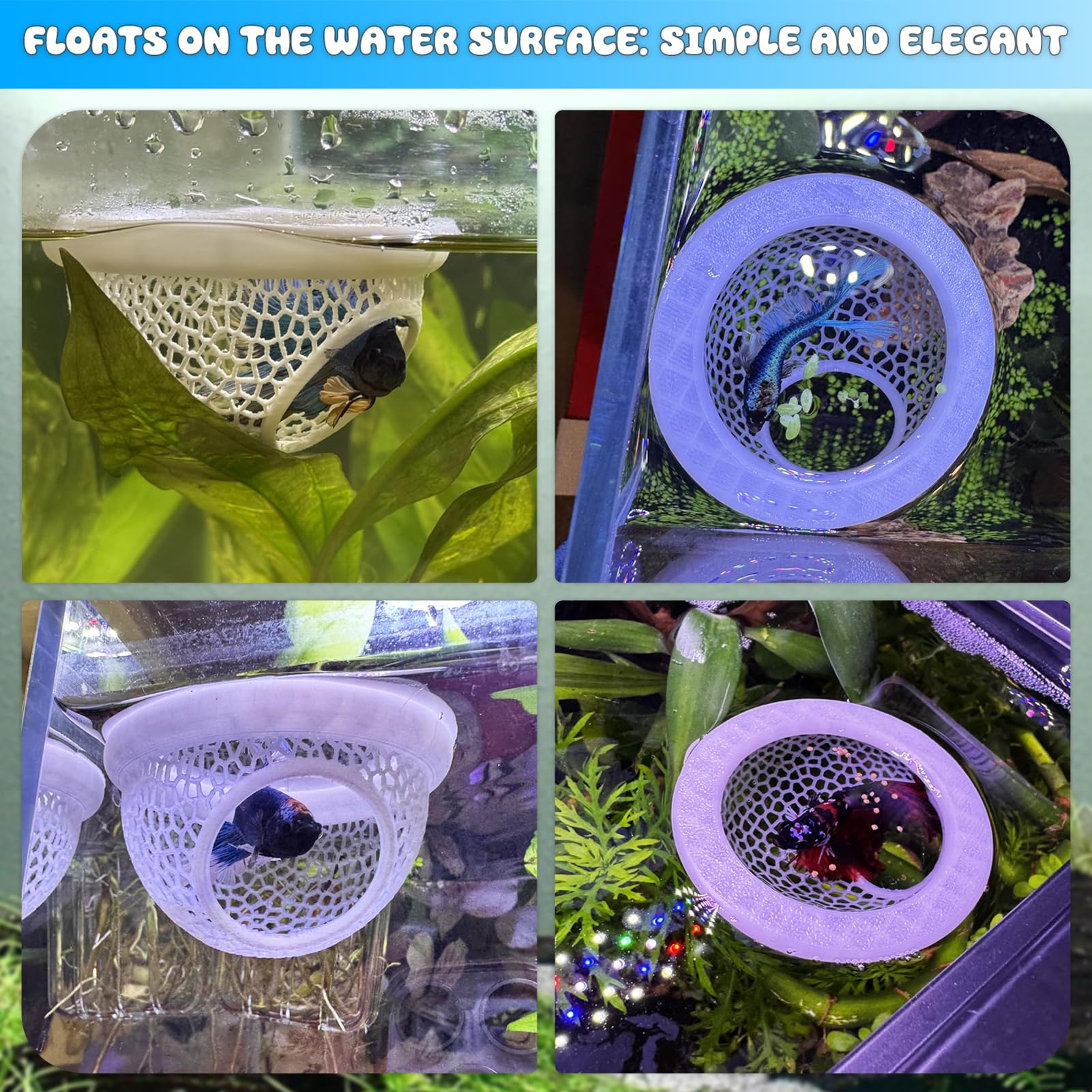 Sicutoz dimensions compactes avec entrée de 3 cm pour petits poissons.