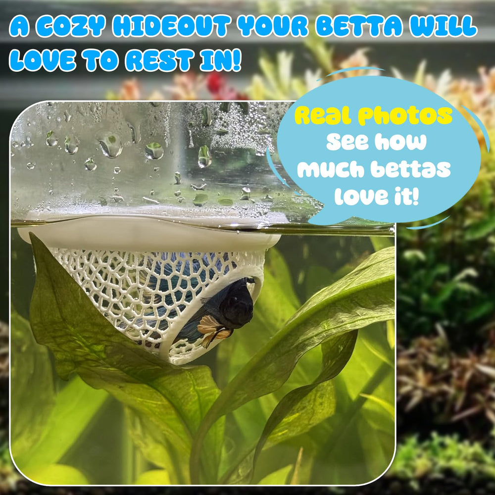 Sicutoz PLA sûr pour l'eau de l'aquarium.