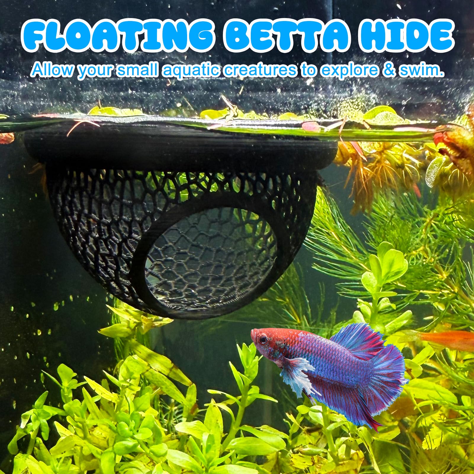 sicutoz repos-naturel-betta – lieu de repos rappelant l’habitat naturel du Betta.