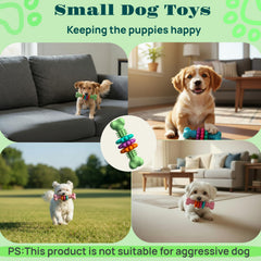 Jouet Sidaeren pour petits chiens, couleur vive, attire l’attention et occupe durablement.