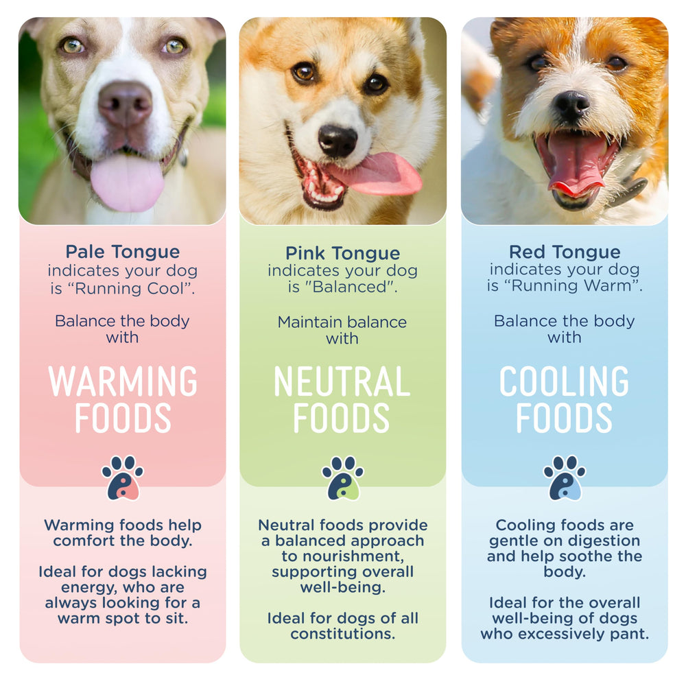 Side by Side Ragoût Boeuf-Saumon: légumes frais et protéines complètes pour chien.
