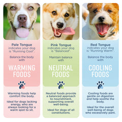 Side by Side Ragoût Boeuf-Saumon: légumes frais et protéines complètes pour chien.
