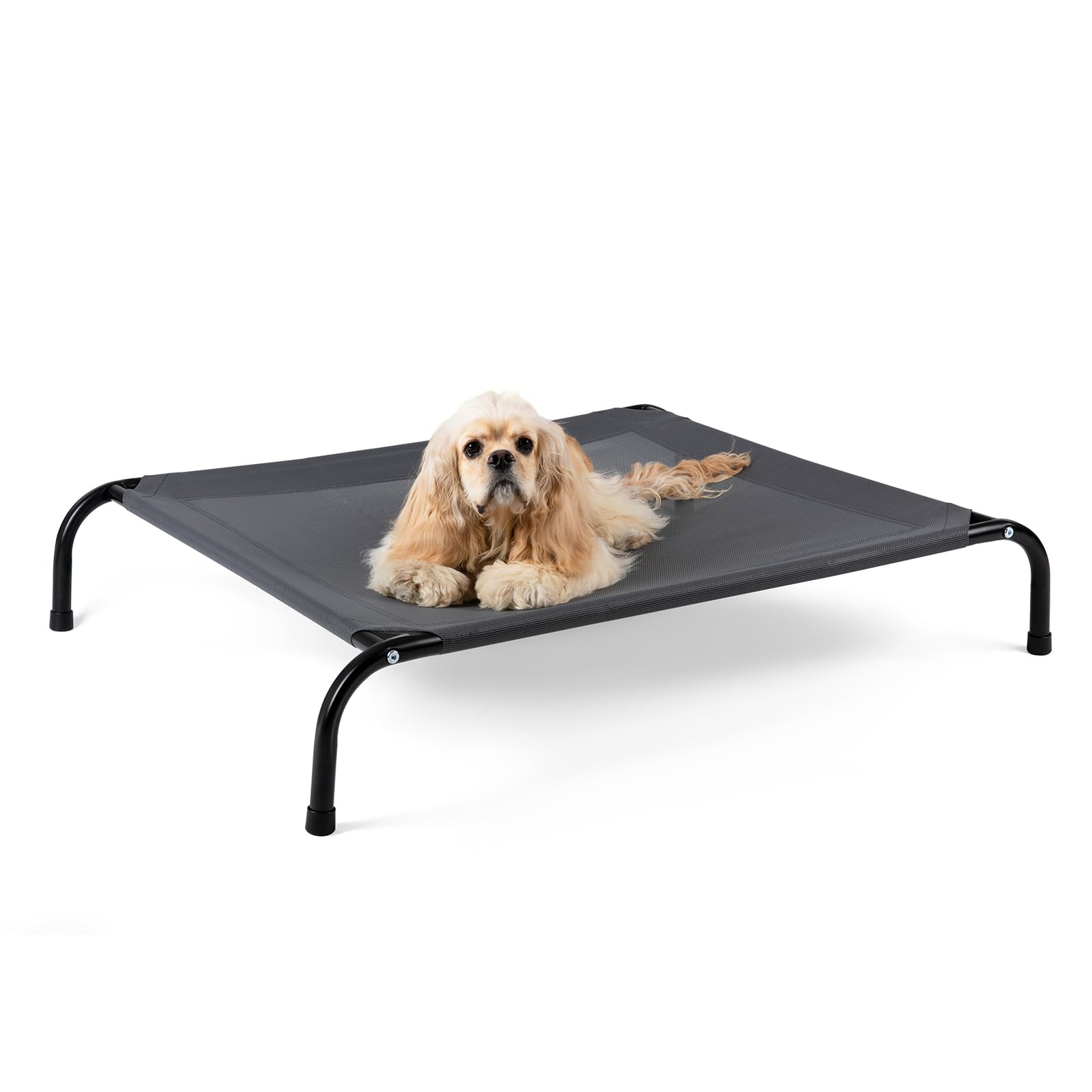 Lit pour chien SIEMOUR surélevé et refroidissant, repos frais et confortable.