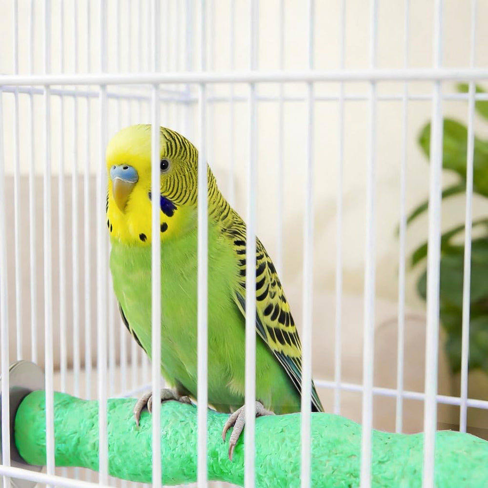 Sienle oiseaux-utilise-perchoir-stable: accessoire polyvalent pour petits animaux.